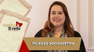 Explica Direito Filiação Socioafetiva  2019 [upl. by Jacinda]