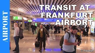 TRANSIT WALK AT FRANKFURT Airport FRA Terminal 1  Connection Flight Transfer Arriving amp Departing [upl. by Graniah728]